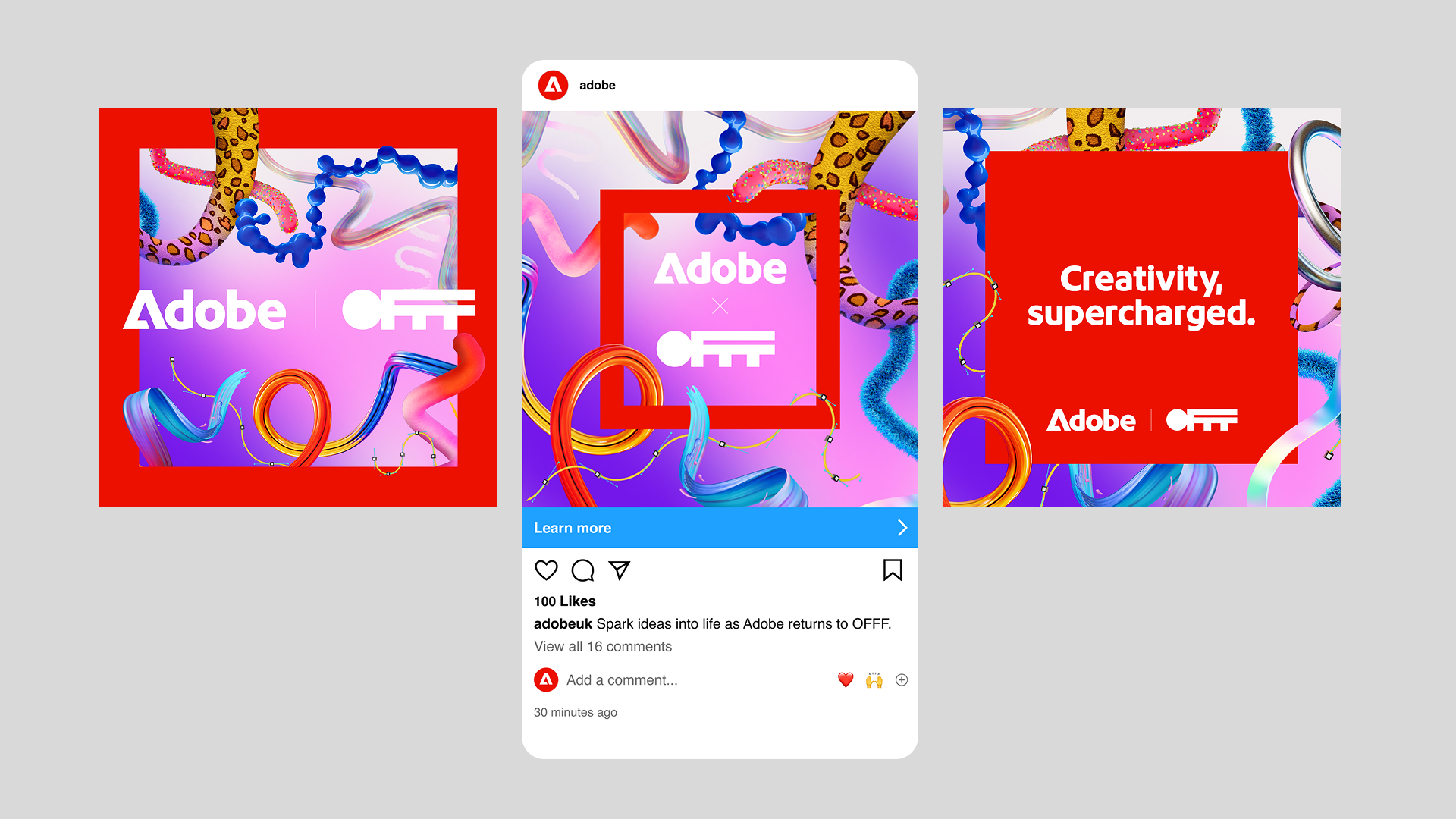 Adobe Casestudy 07